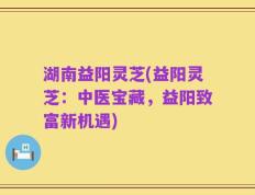 湖南益阳灵芝(益阳灵芝：中医宝藏，益阳致富新机遇)