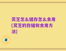 灵芝怎么储存怎么食用(灵芝的存储和食用方法)