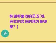 株洲哪里收购灵芝(株洲收购灵芝的地方是哪里？)
