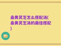 桑黄灵芝怎么搭配汤(桑黄灵芝汤的最佳搭配)