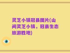 灵芝小镇冠县图片(山间灵芝小镇，冠县生态旅游胜地)
