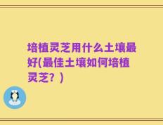 培植灵芝用什么土壤最好(最佳土壤如何培植灵芝？)