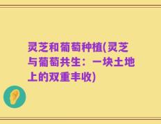 灵芝和葡萄种植(灵芝与葡萄共生：一块土地上的双重丰收)