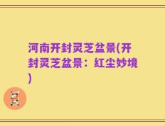 河南开封灵芝盆景(开封灵芝盆景：红尘妙境)