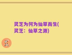 灵芝为何为仙草而生(灵芝：仙草之源)