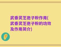 武香灵芝孢子粉作用(武香灵芝孢子粉的功效及作用简介)