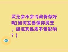 灵芝会不会冷藏保存好呢(如何妥善保存灵芝，保证其品质不受影响？)