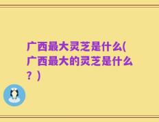 广西最大灵芝是什么(广西最大的灵芝是什么？)
