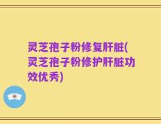 灵芝孢子粉修复肝脏(灵芝孢子粉修护肝脏功效优秀)