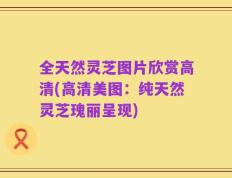 全天然灵芝图片欣赏高清(高清美图：纯天然灵芝瑰丽呈现)