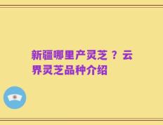 新疆哪里产灵芝 ？云界灵芝品种介绍