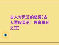 古人对灵芝的感觉(古人赞叹灵芝：神奇草药之王)