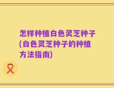 怎样种植白色灵芝种子(白色灵芝种子的种植方法指南)