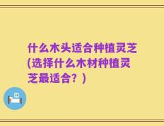 什么木头适合种植灵芝(选择什么木材种植灵芝最适合？)