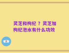 灵芝和枸杞 ？灵芝加枸杞泡水有什么功效