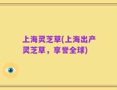 上海灵芝草(上海出产灵芝草，享誉全球)