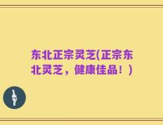 东北正宗灵芝(正宗东北灵芝，健康佳品！)