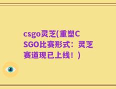 csgo灵芝(重塑CSGO比赛形式：灵芝赛道现已上线！)
