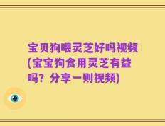 宝贝狗喂灵芝好吗视频(宝宝狗食用灵芝有益吗？分享一则视频)