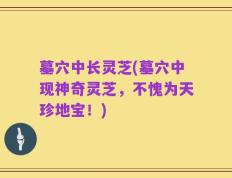 墓穴中长灵芝(墓穴中现神奇灵芝，不愧为天珍地宝！)