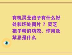 有机灵芝孢子有什么好处和坏处图片 ？灵芝孢子粉的功效、作用及禁忌是什么