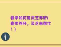 春季如何用灵芝养肝(春季养肝，灵芝来帮忙！)