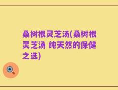 桑树根灵芝汤(桑树根灵芝汤 纯天然的保健之选)
