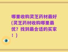 哪里收购灵芝药材最好(灵芝药材收购哪里最优？找到最合适的买家！)