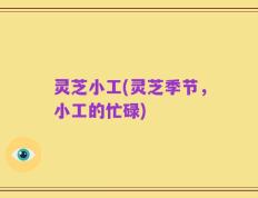 灵芝小工(灵芝季节，小工的忙碌)