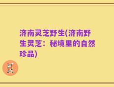 济南灵芝野生(济南野生灵芝：秘境里的自然珍品)