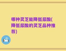 哪种灵芝能降低尿酸(降低尿酸的灵芝品种推荐)