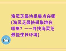 海灵芝最快采集点在哪(海灵芝最快采集地在哪里？——寻找海灵芝最佳生长环境)