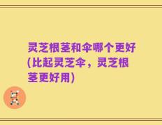 灵芝根茎和伞哪个更好(比起灵芝伞，灵芝根茎更好用)