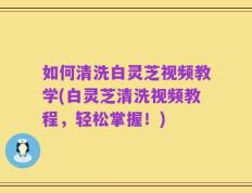 如何清洗白灵芝视频教学(白灵芝清洗视频教程，轻松掌握！)