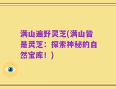 满山遍野灵芝(满山皆是灵芝：探索神秘的自然宝库！)