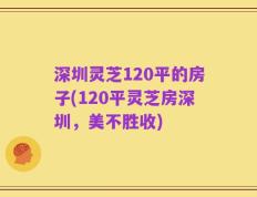 深圳灵芝120平的房子(120平灵芝房深圳，美不胜收)