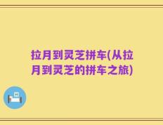 拉月到灵芝拼车(从拉月到灵芝的拼车之旅)