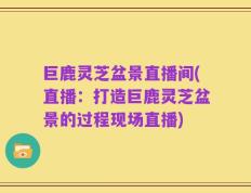 巨鹿灵芝盆景直播间(直播：打造巨鹿灵芝盆景的过程现场直播)
