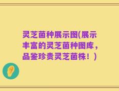 灵芝菌种展示图(展示丰富的灵芝菌种图库，品鉴珍贵灵芝菌株！)