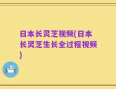 日本长灵芝视频(日本长灵芝生长全过程视频)
