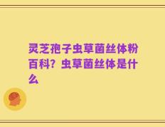 灵芝孢子虫草菌丝体粉百科？虫草菌丝体是什么