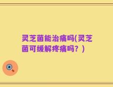 灵芝菌能治痛吗(灵芝菌可缓解疼痛吗？)