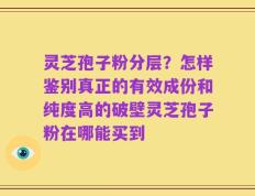 灵芝孢子粉分层？怎样鉴别真正的有效成份和纯度高的破壁灵芝孢子粉在哪能买到