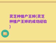 灵芝种植户王婷(灵芝种植户王婷的成功经验)