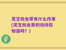 灵芝和虫草有什么作用(灵芝和虫草的功效你知道吗？)