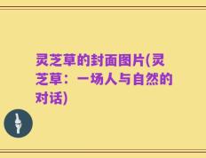 灵芝草的封面图片(灵芝草：一场人与自然的对话)
