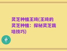 灵芝种植王琦(王琦的灵芝种植：探秘灵芝栽培技巧)
