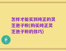 怎样才能买到纯正的灵芝孢子粉(购买纯正灵芝孢子粉的技巧)