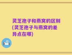 灵芝孢子和燕窝的区别(灵芝孢子与燕窝的差异点在哪)