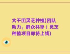 大干团灵芝种植(团队助力，群众共享丨灵芝种植项目即将上线)